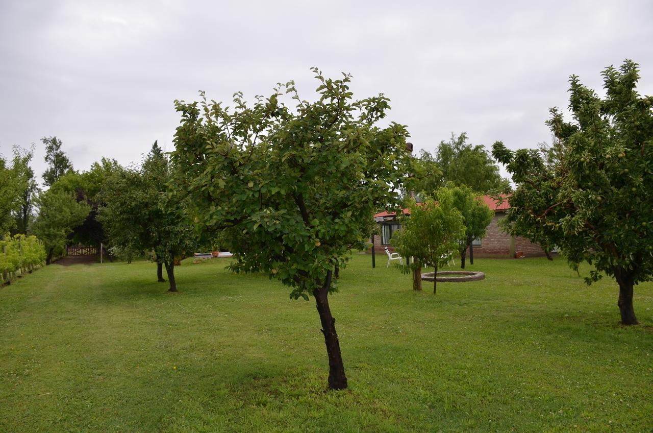 Finca Fisterra Майпу Экстерьер фото