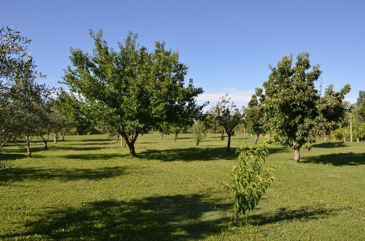 Finca Fisterra Майпу Экстерьер фото