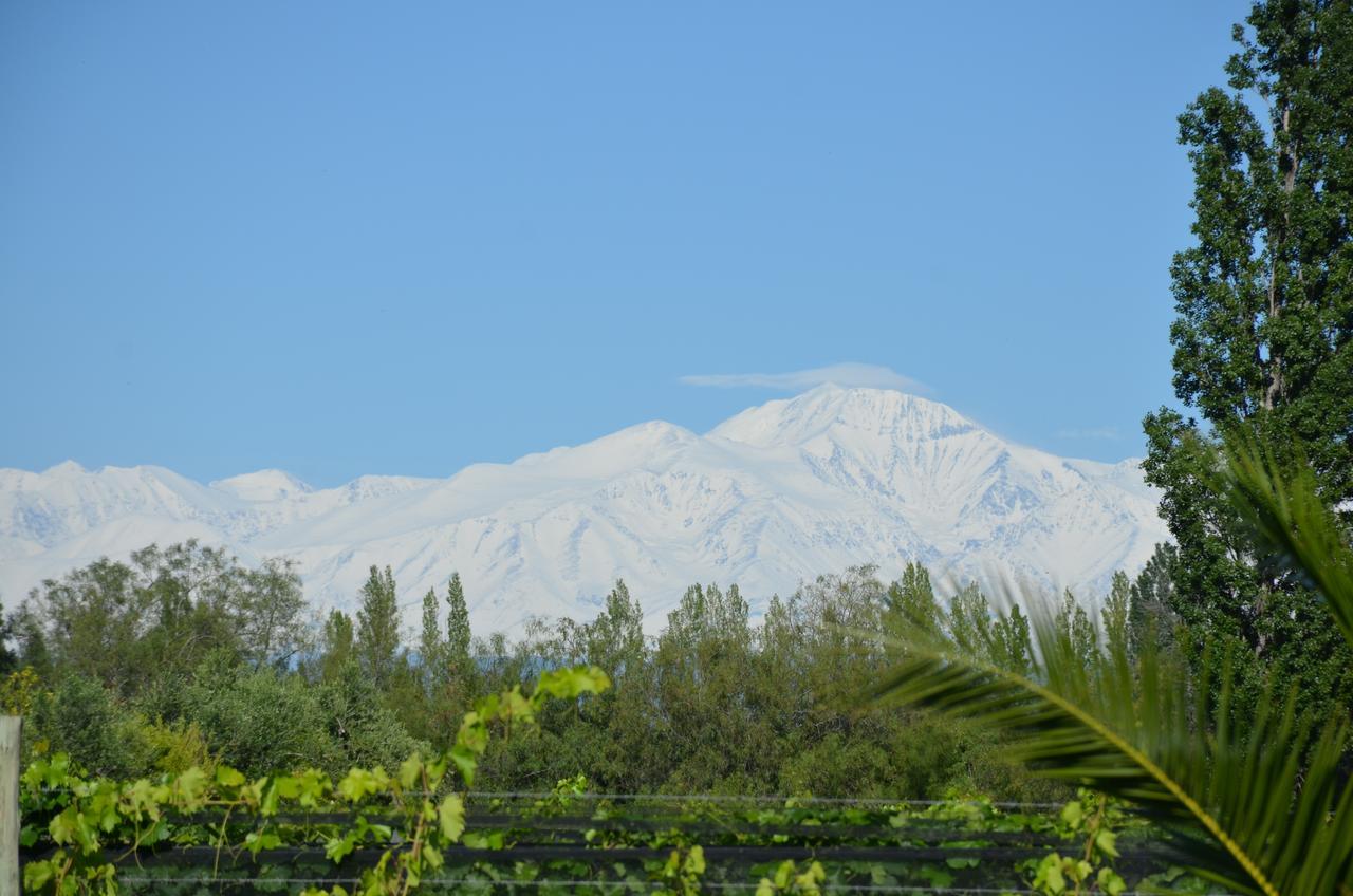 Finca Fisterra Майпу Экстерьер фото